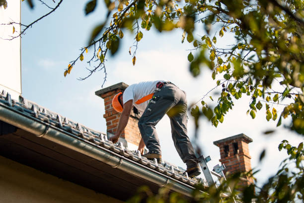 Quick and Trustworthy Emergency Roof Repair Services in Candlewick Lake, IL