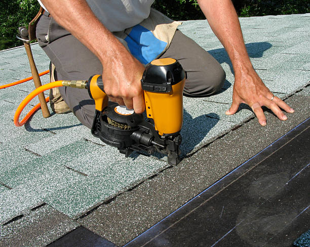 Best Roof Gutter Cleaning  in Candlewick Lake, IL